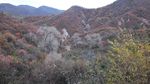 山水风景