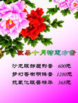 美容海报