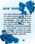 蓝玫瑰