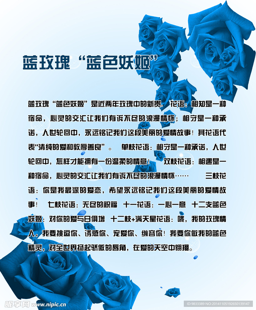 蓝玫瑰