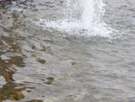 水花水柱