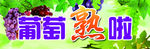 葡萄熟啦