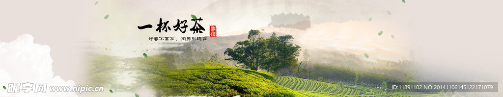茶网站banner