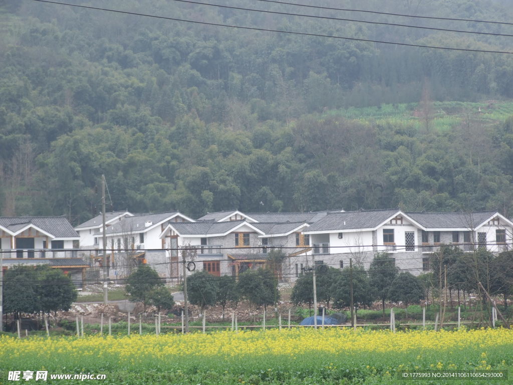 新农村