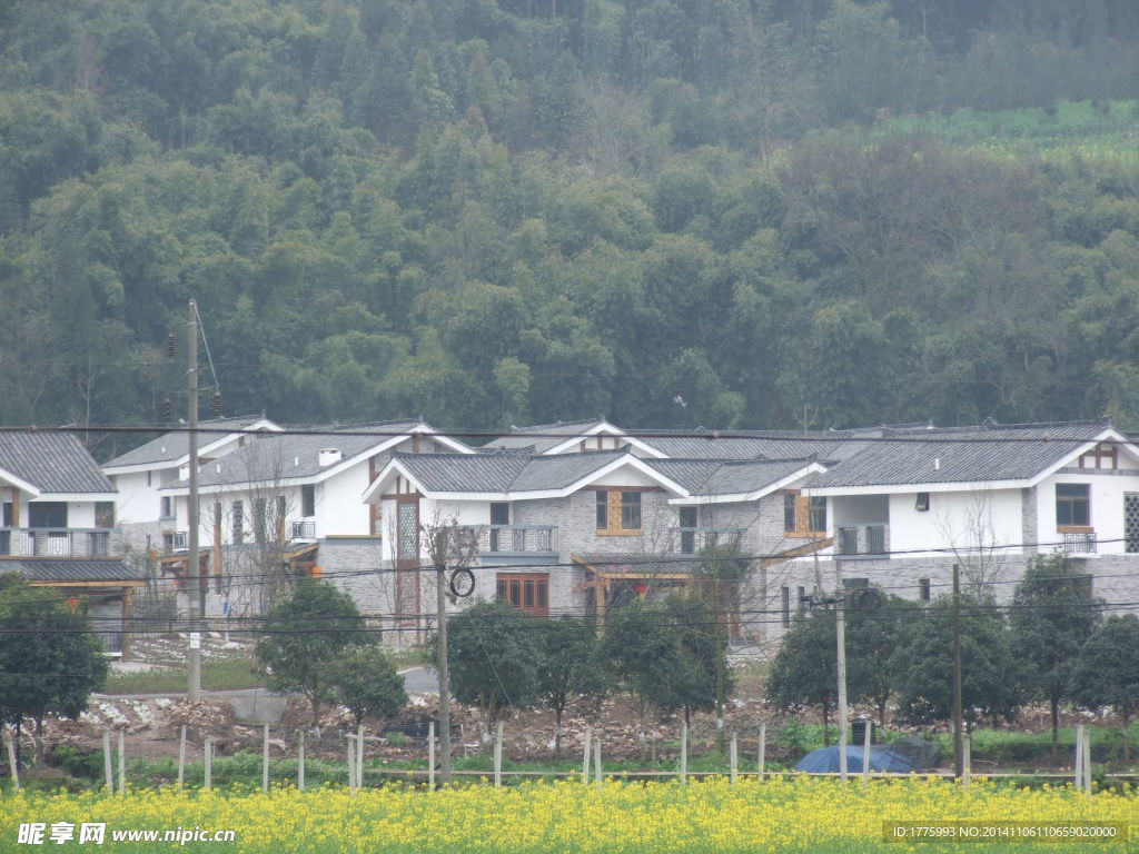 新农村