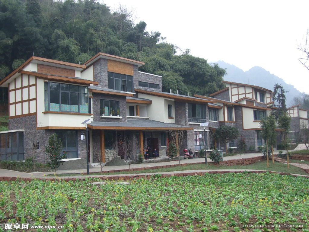 新农村