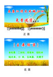 大米名片