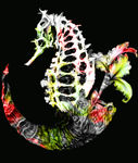 花纹