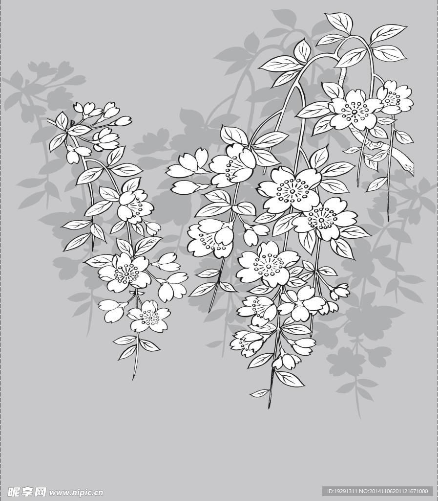 花卉插画