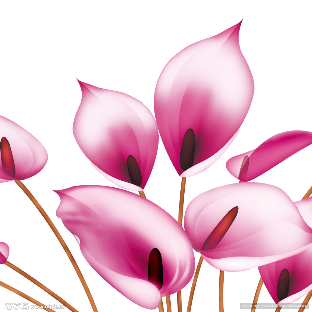 花卉油画