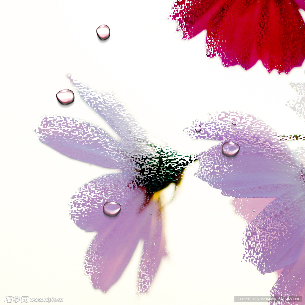 花卉