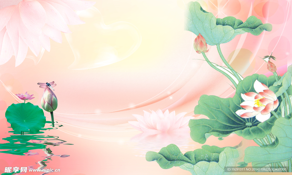 荷花风景图
