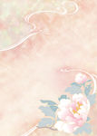 牡丹花