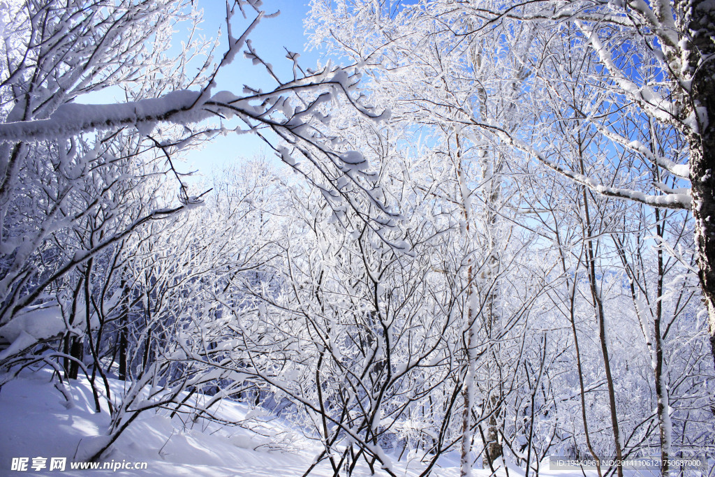 雪乡