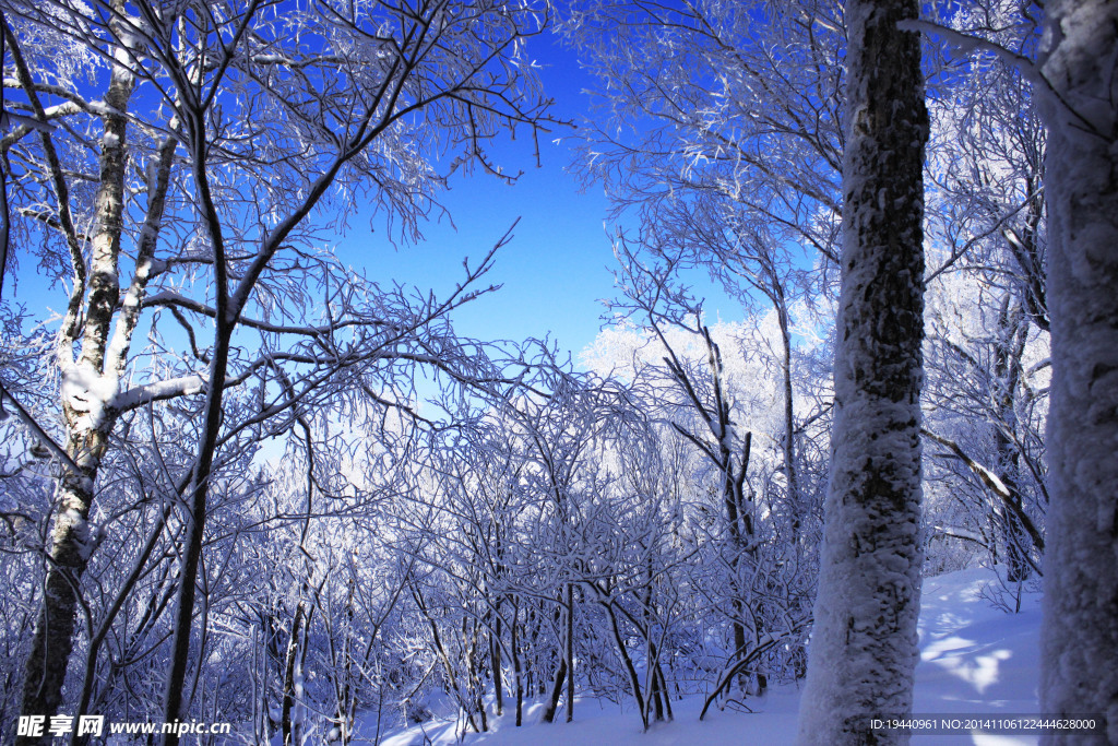 雪乡