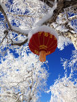 雪乡