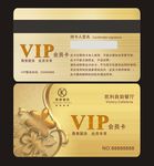 高档金色会员VIP卡