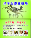 大闸蟹名片
