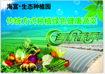 高清绿色蔬菜素材psd