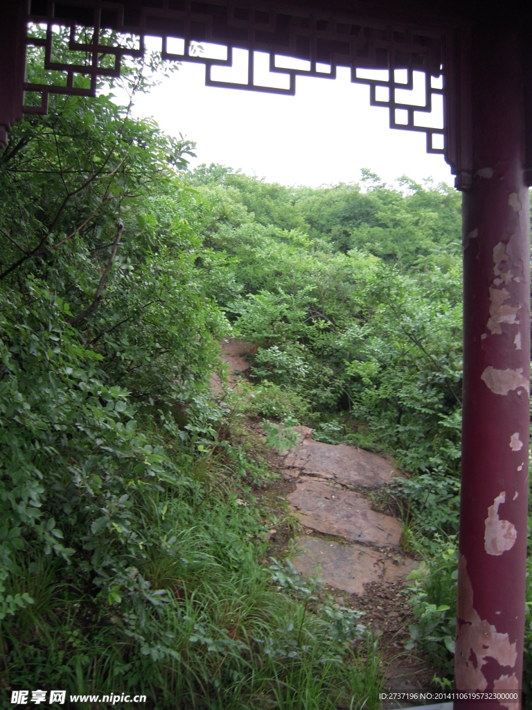 绿色风景