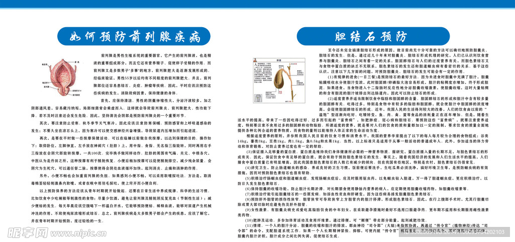 预防前列腺胆结石广告