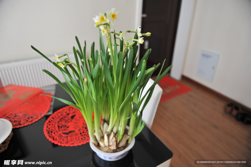 水仙花