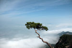 凤凰山