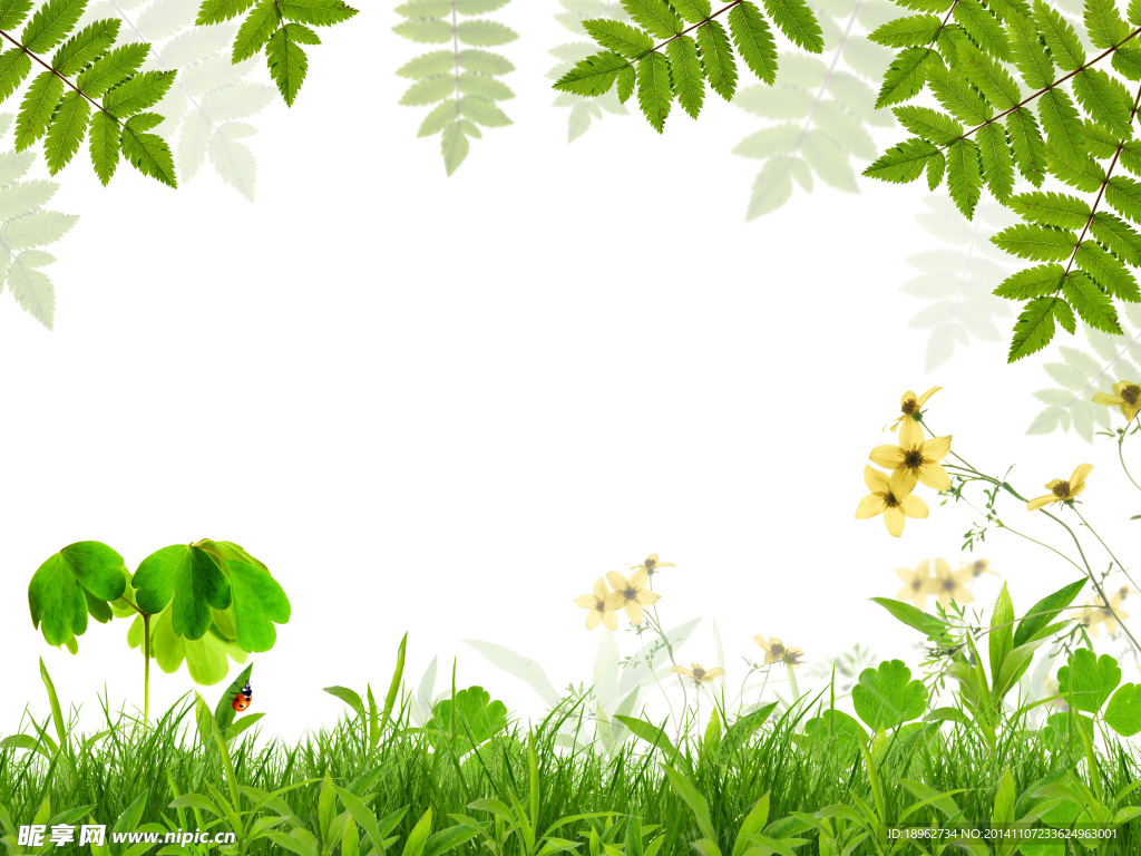 花朵绿叶草丛背景图