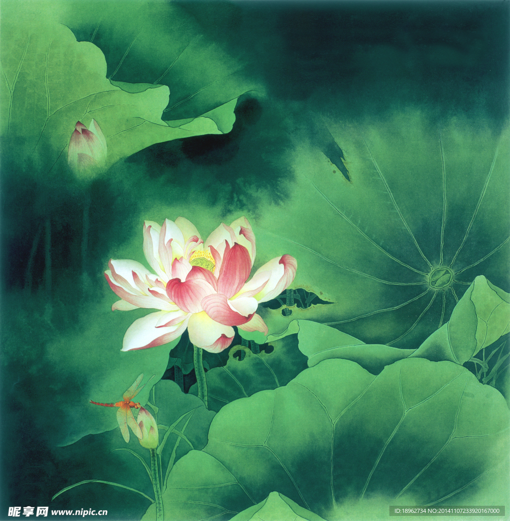 工笔荷花图设计图片