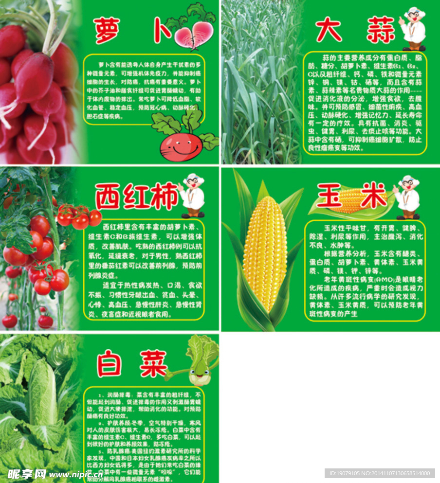 蔬菜种植园