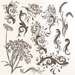 花纹