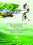 茶海报