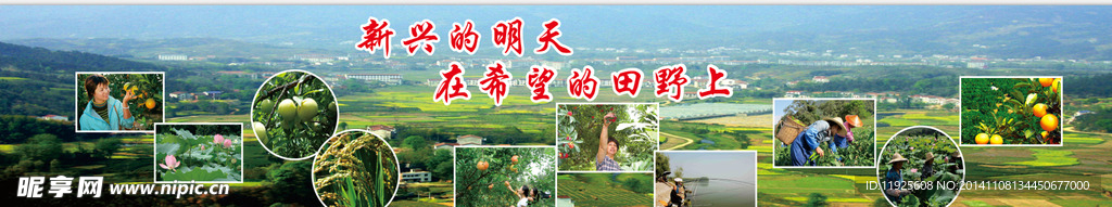 新兴的明天