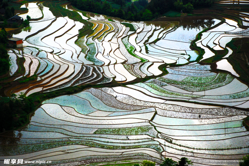 苏马荡风景 梯田