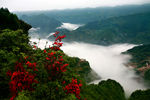 苏马荡风景-云海杜鹃