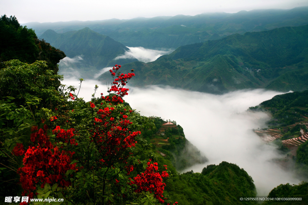 苏马荡风景-云海杜鹃