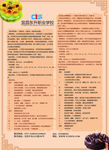 教育培训宣传单页