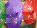 花折伞
