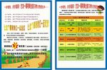 招生宣传单