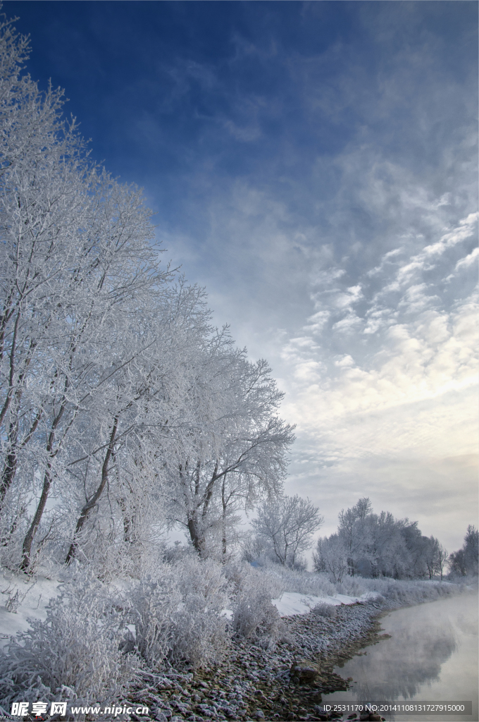 雪景