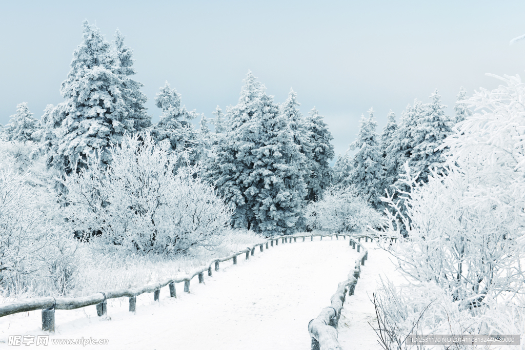 雪景