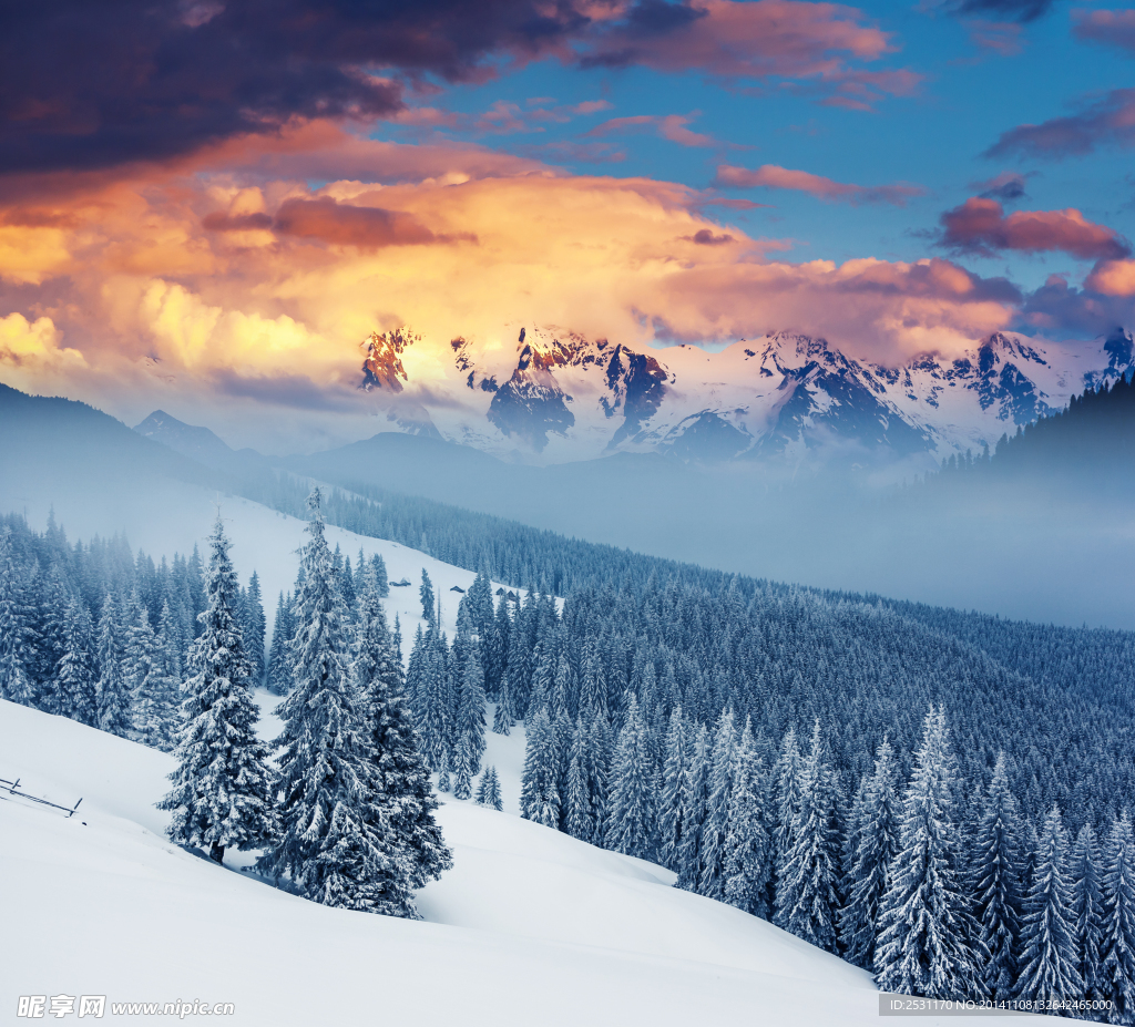 雪景