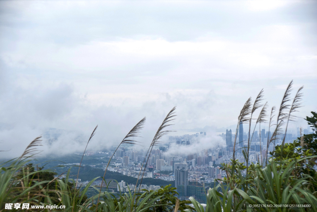 云雾中的城市