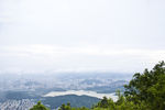 罗湖风光