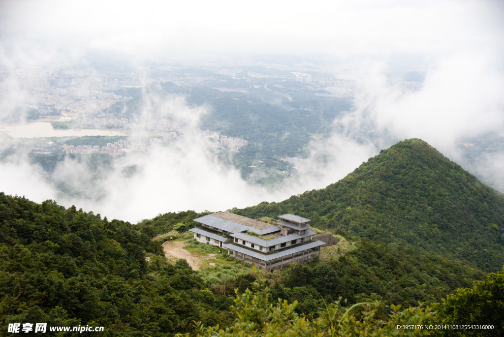 雾起梧桐山