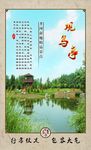 旅游展架