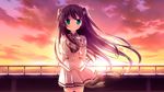 动漫 少女