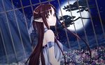 动漫 少女
