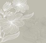 精美花纹素材