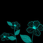 线条花纹
